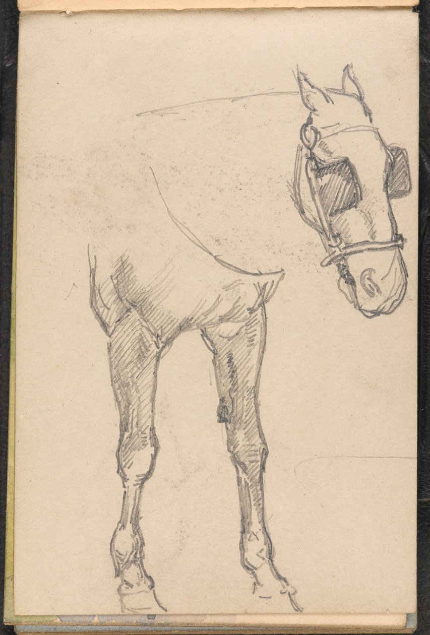 Sketch of Horse with Blinkers by William Barnes Wollen