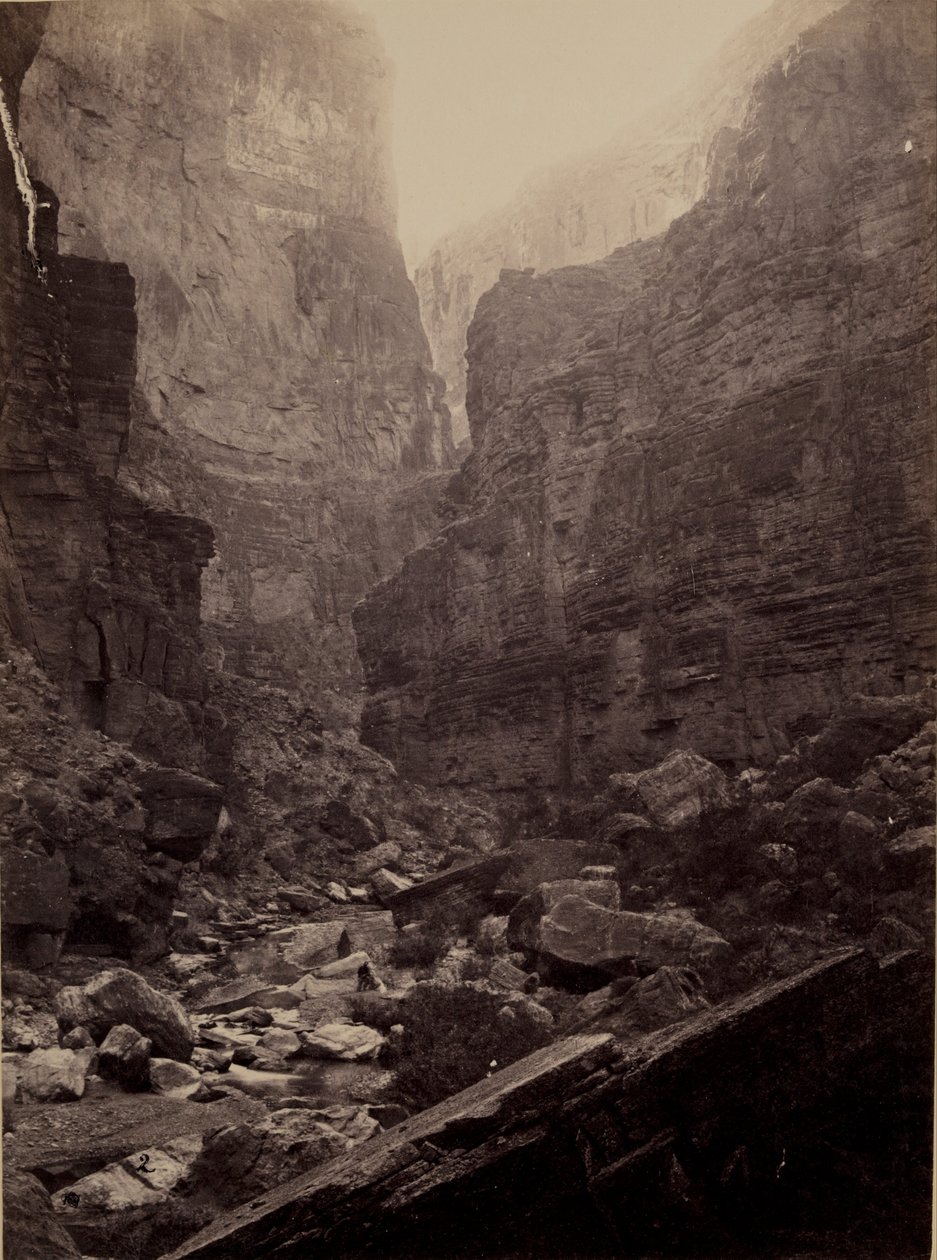 Canyon of Kanab Wash, Colorado River, Looking North by William Bell