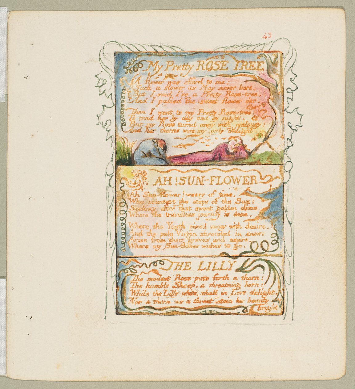 Songs of Innocence and of Experience: My Pretty Rose Tree, Ah! Sun-Flower, The Lily by William Blake