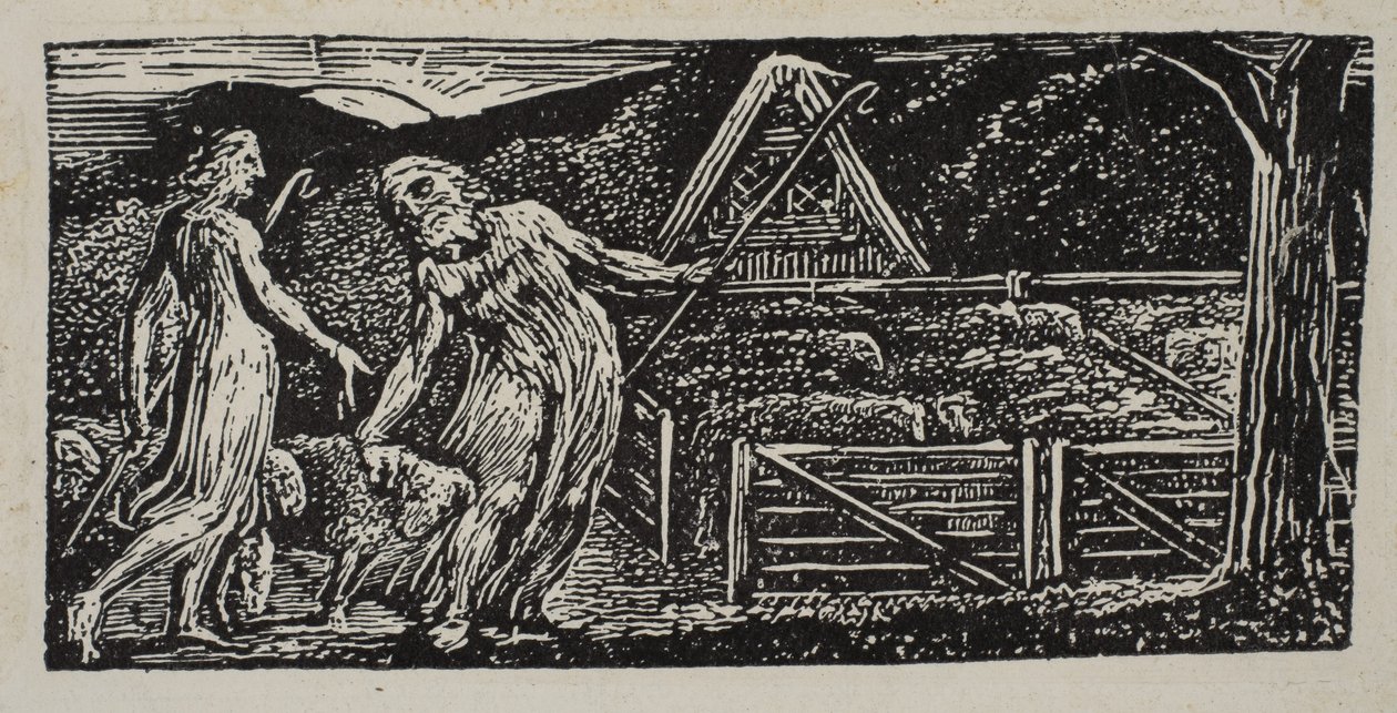 Thenot and Colinet Lead Their Flocks Together, from Thornton's ...