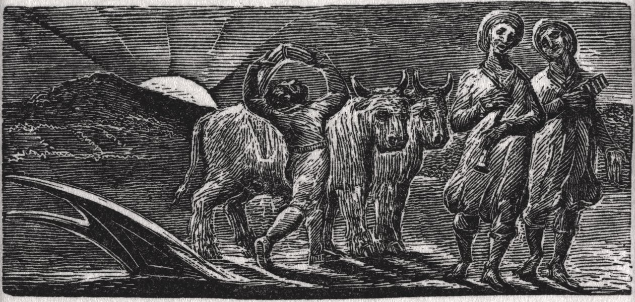 With Songs the Jovial Hinds Return from Plow, illustration from Dr. Thornton