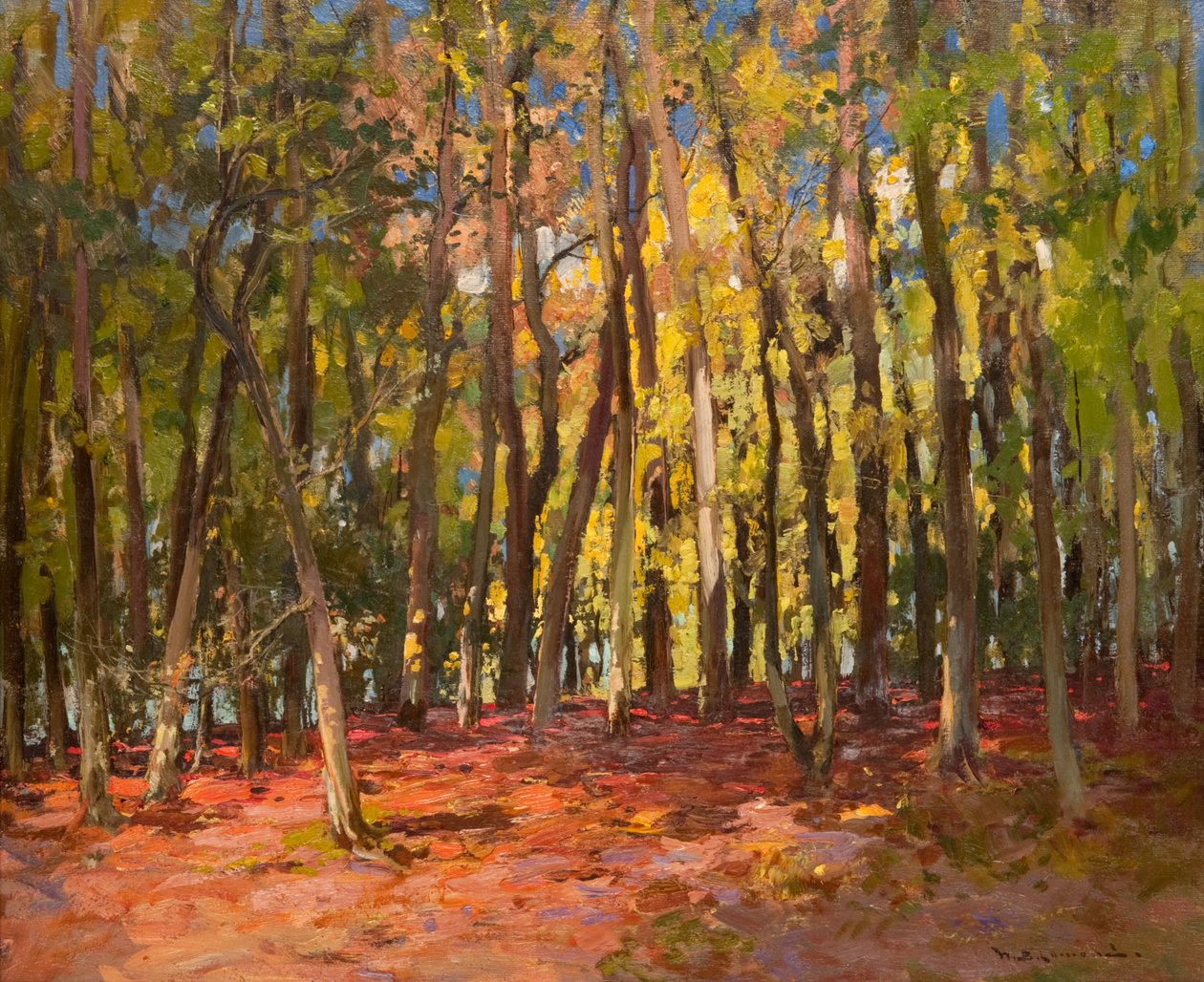 The Witches Wood by William Bradley Lamond