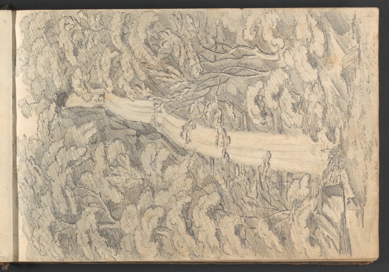 Lidford Fall by William Brockedon