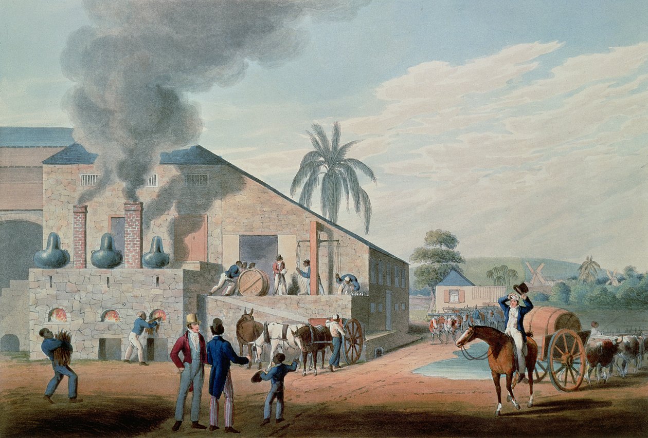 Slaves Set to Work Producing Rum at the Distillery, Antigua by William Clark
