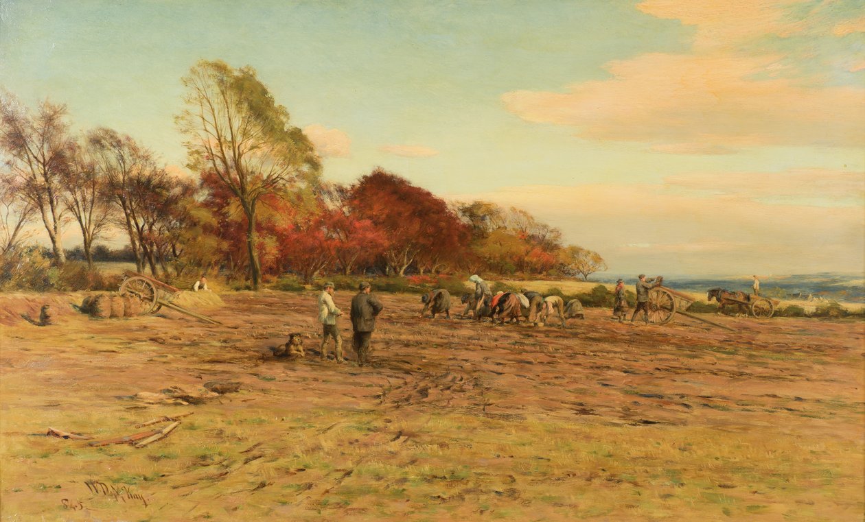 Gathering Potatoes by William Darling McKay