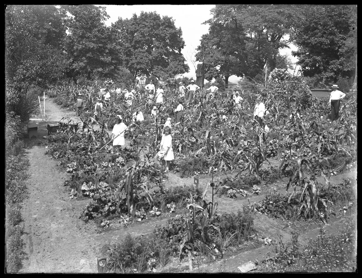 Children Working in the Isham Park School Garden, New York City, August 16, 1915 by William Davis Hassler