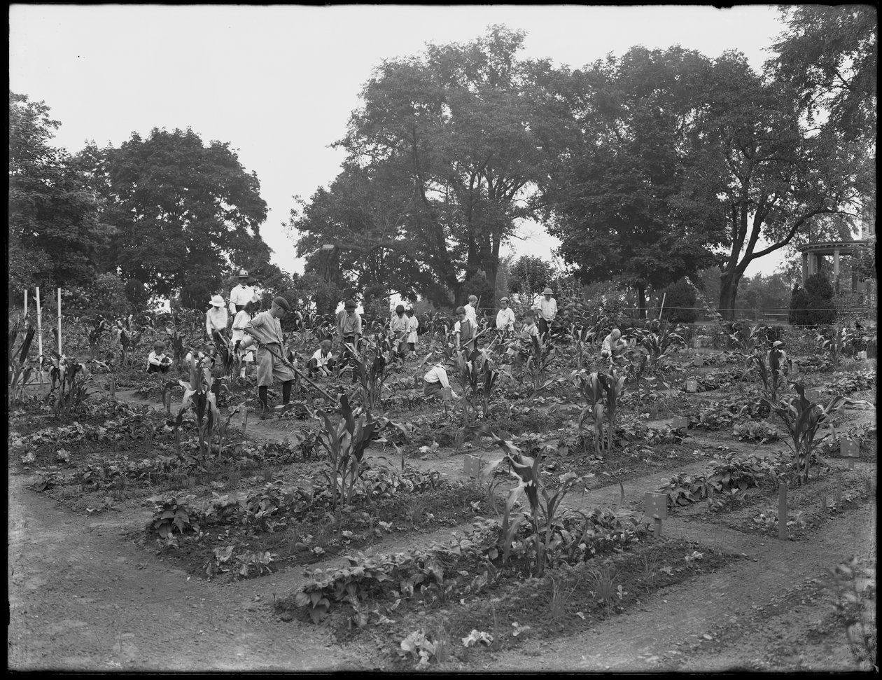 Children working in the school garden in Isham Park, New York City, August 5, 1914 by William Davis Hassler