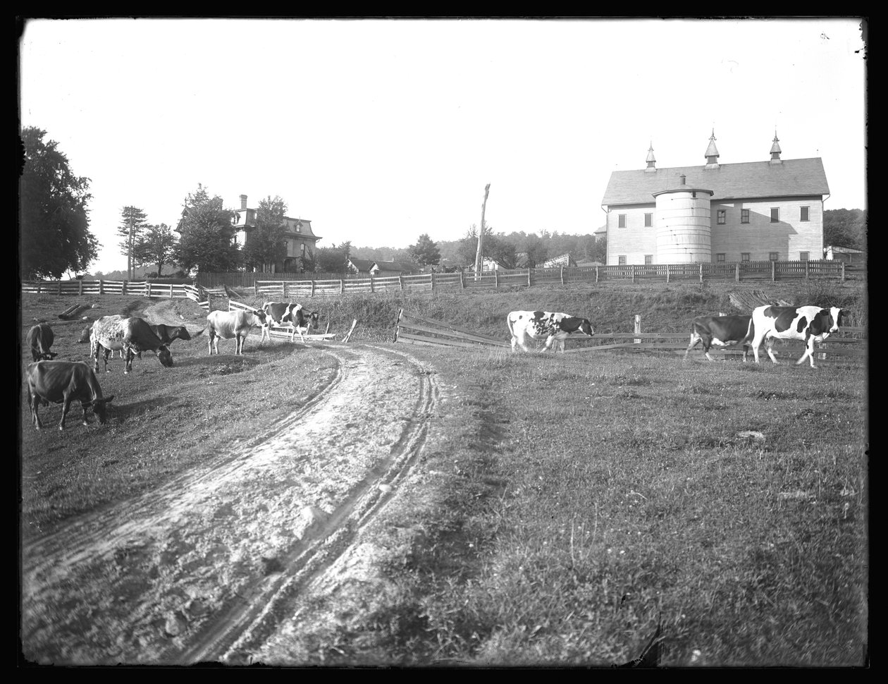 The McCready farm barn and Thomas residence, Pennsylvania by William Davis Hassler