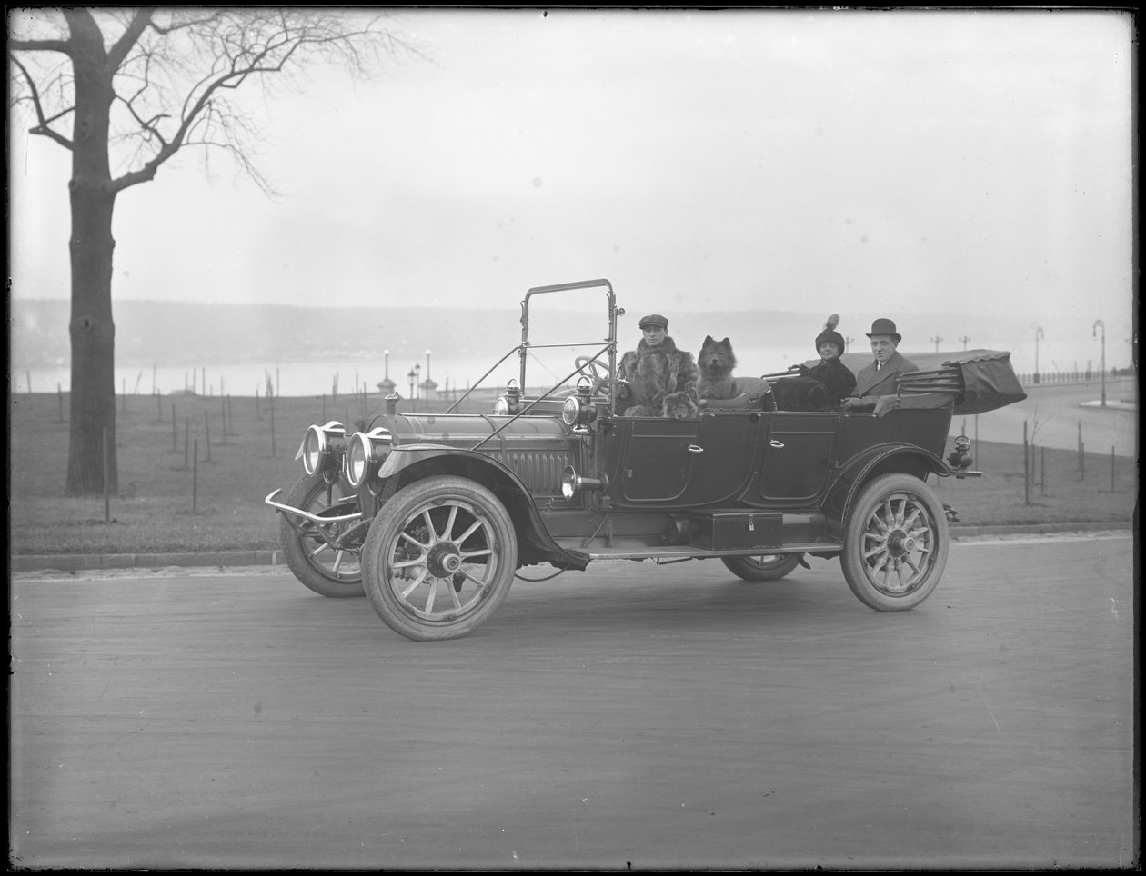 Three unidentified people and two Chow dogs driving in a convertible car along a river or lake by William Davis Hassler
