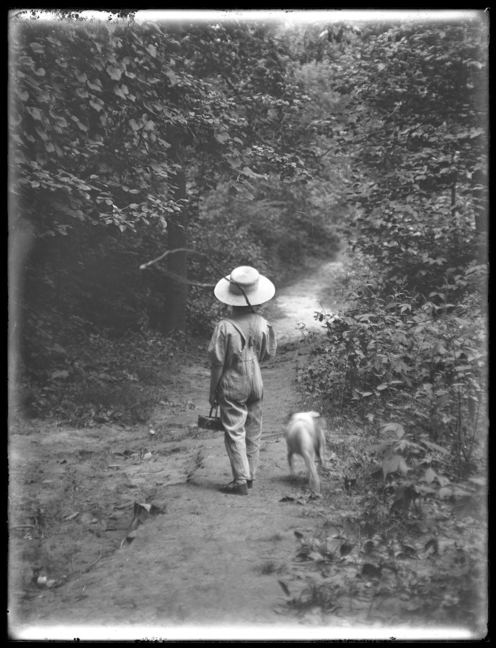 William Gray Hassler in straw hat and overalls, carrying fishing pole and  basket, walking down a path in the woods with a small dog (Bessie), August  20, 1911