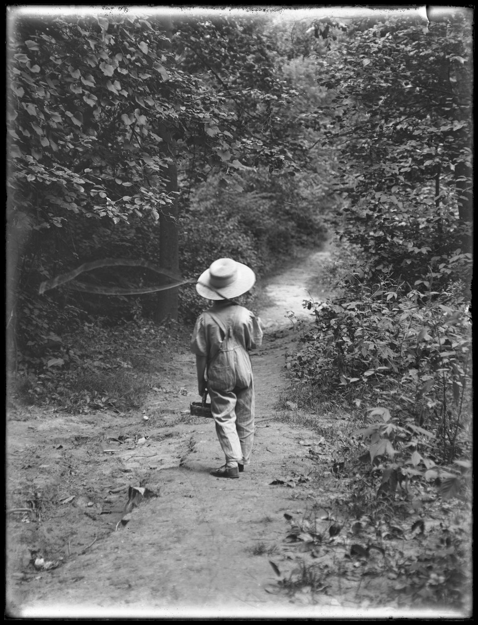 William Gray Hassler in Straw Hat and Overalls, Carrying Fishing Pole and Basket, Walking Down a Path in the Woods Alone, August 20, 1911 by William Davis Hassler