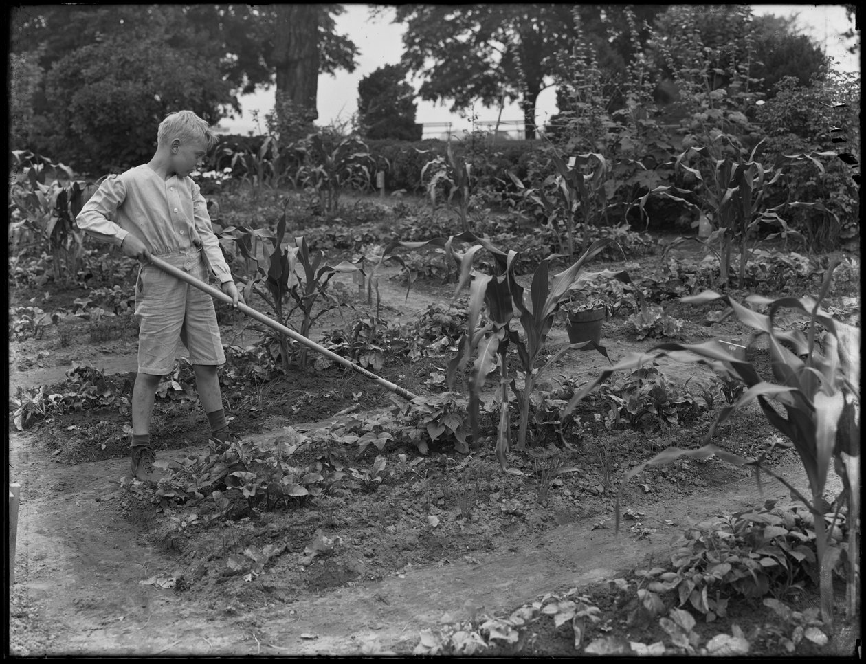 William Gray Hassler working in the school garden in Isham Park, New York City, August 5, 1914 by William Davis Hassler