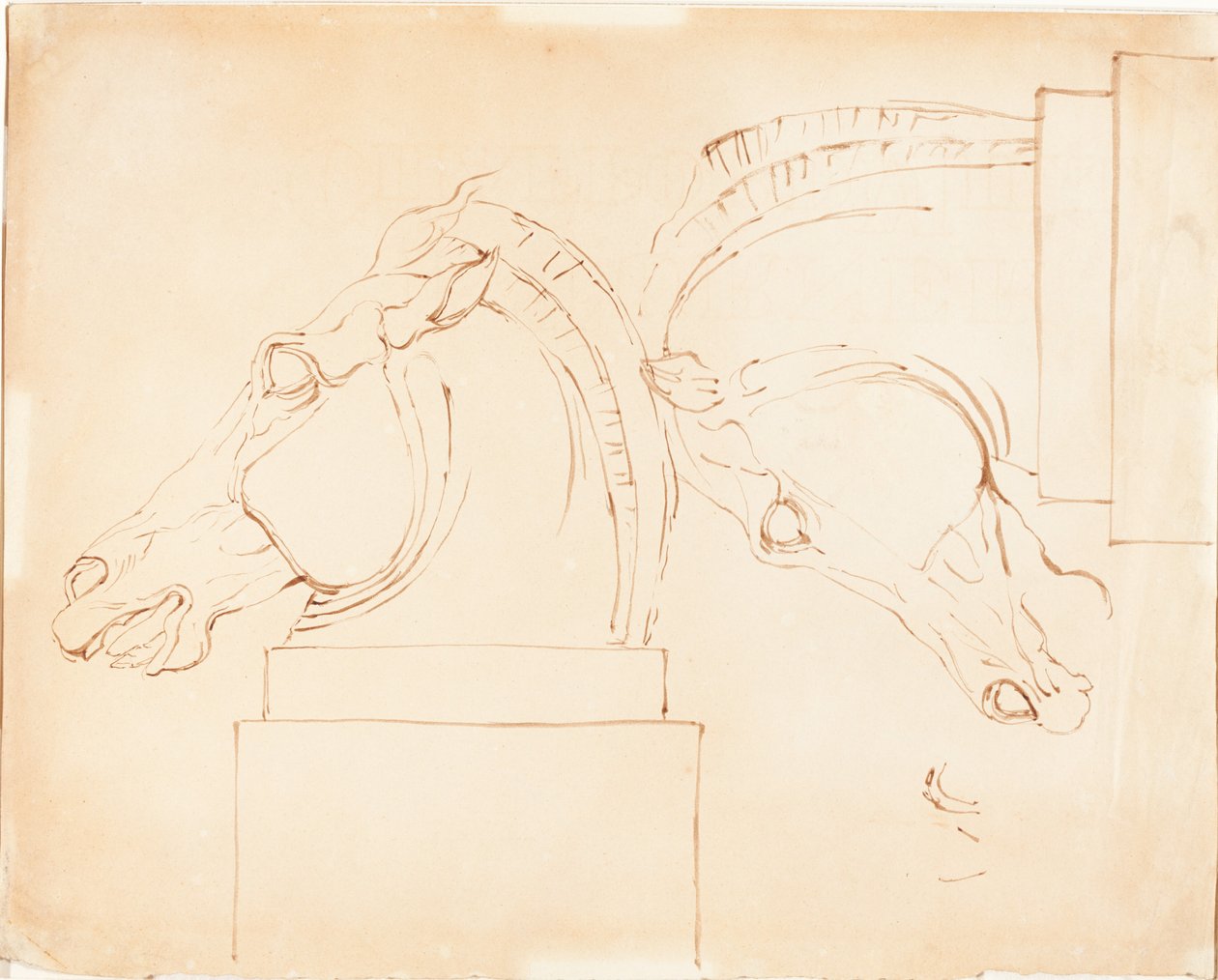 The Horse of Selene from the Elgin Marbles by William Etty