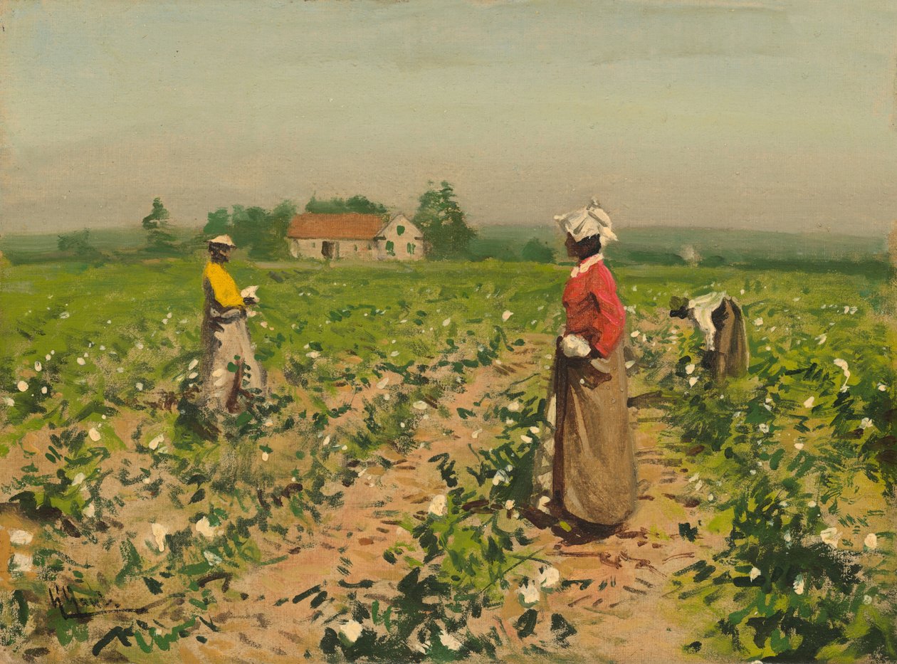 Picking Cotton by William Gilbert Gaul