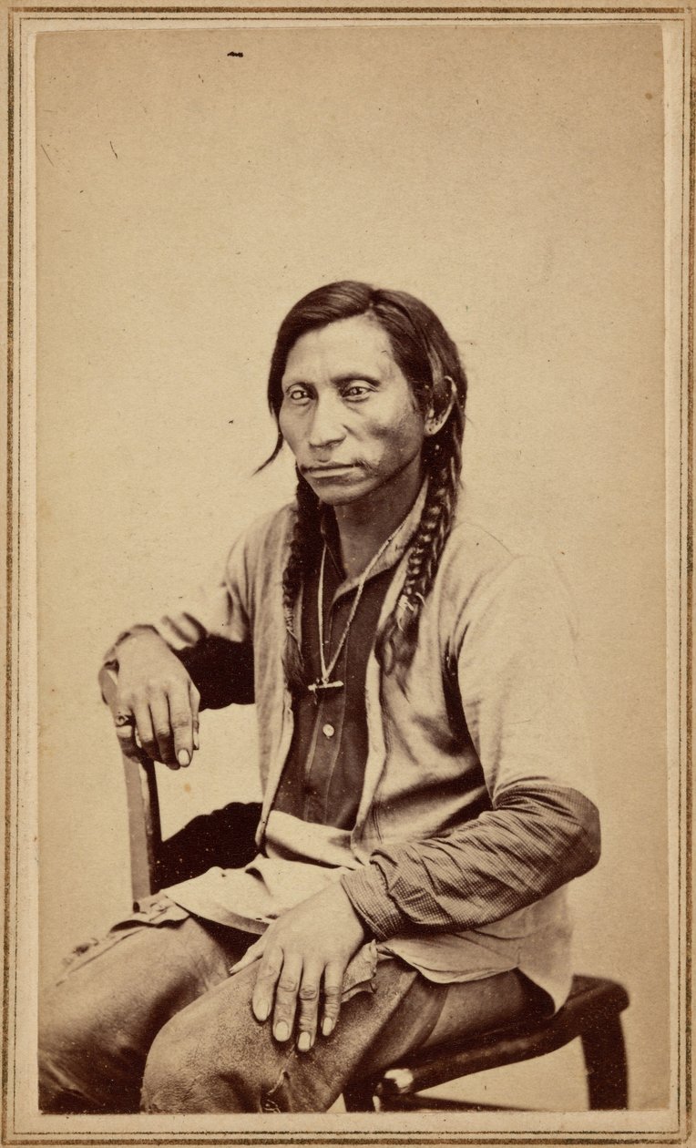 Gray Wolf, 1860s by William Gunnison Chamberlain