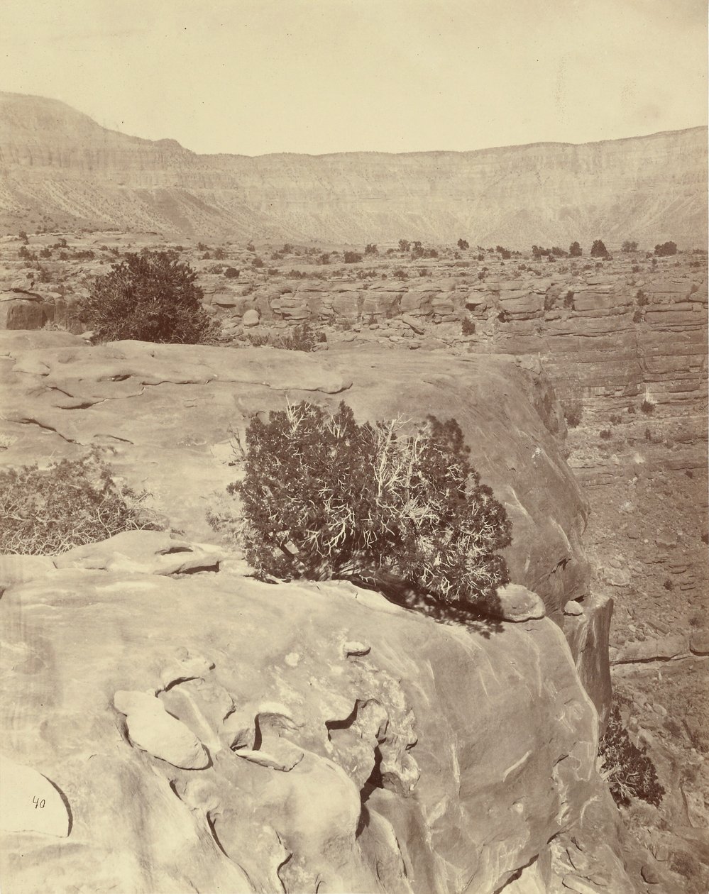 Plateau, North of the Grand Canyon by William H. Bell