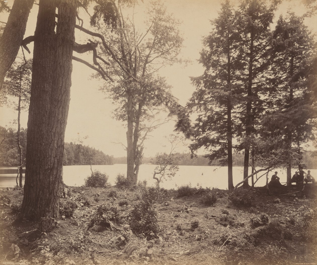 Ganoga Lake by William H. Rau