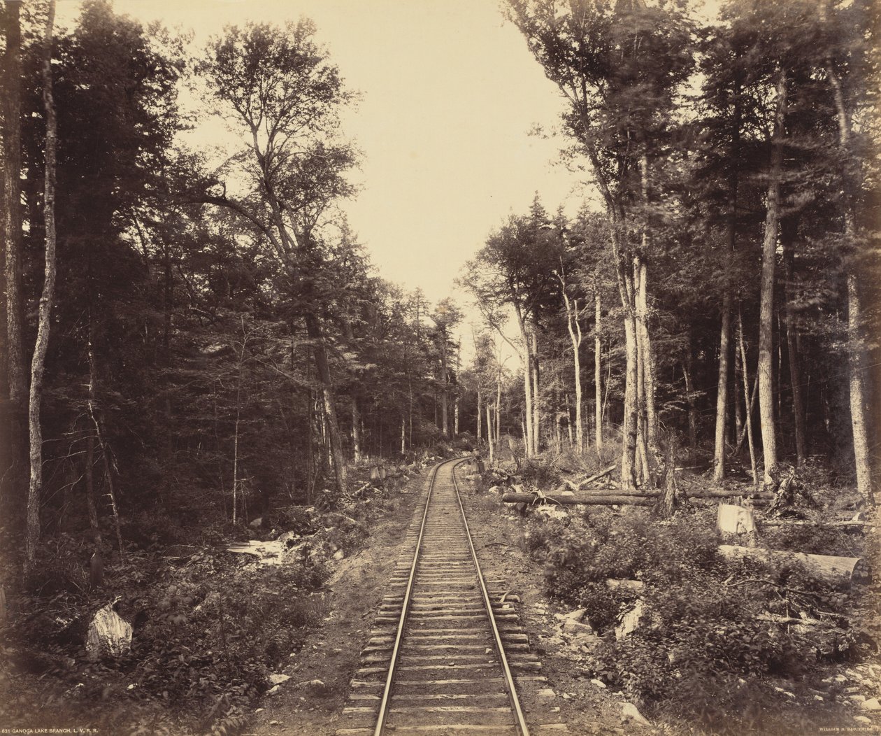 Ganoga Lake Branch by William H. Rau