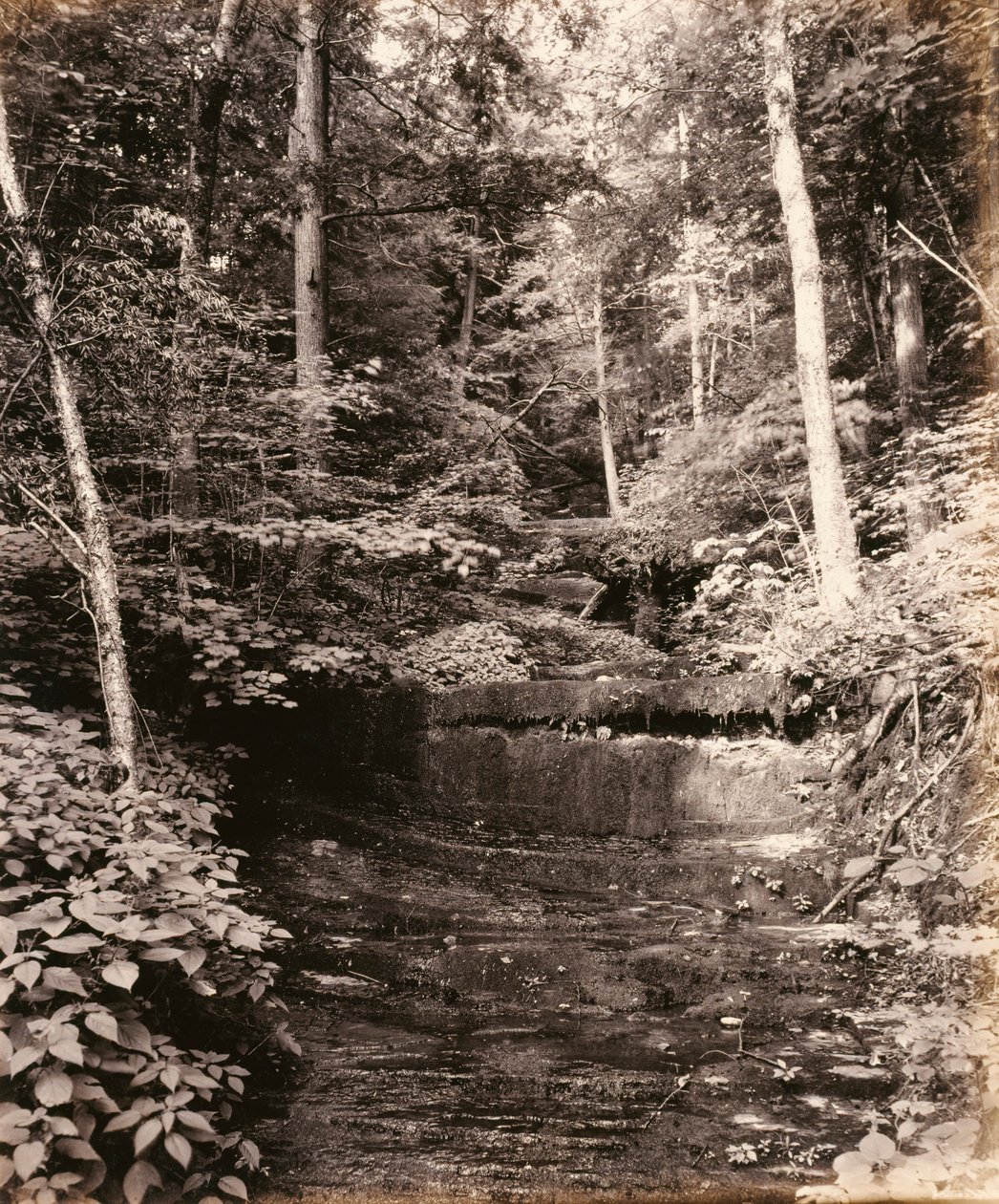 Owasco Lake, Cascade Glen, for the Lehigh Valley Railroad by William H. Rau
