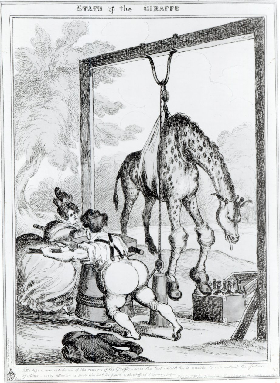 State of the Giraffe by William Heath