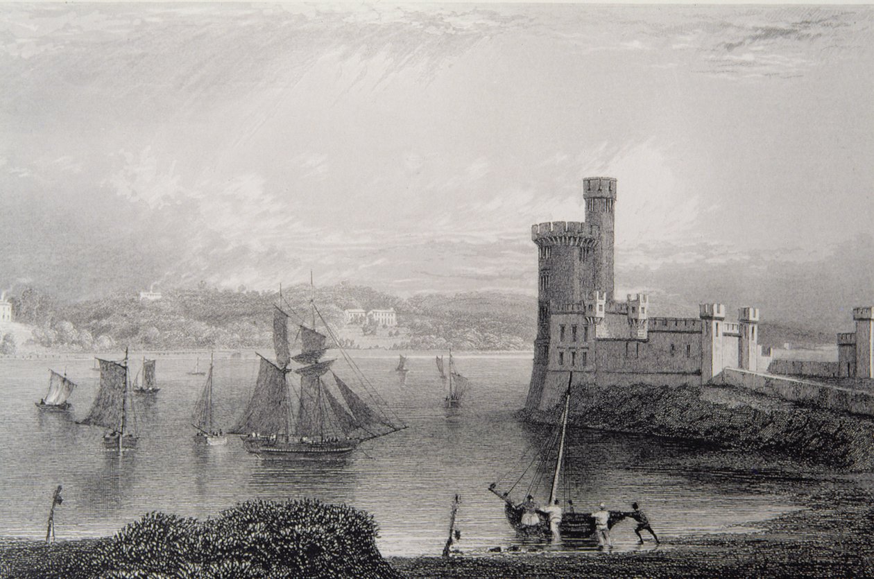 Black Rock Castle, near Cork, Ireland by William Henry Bartlett