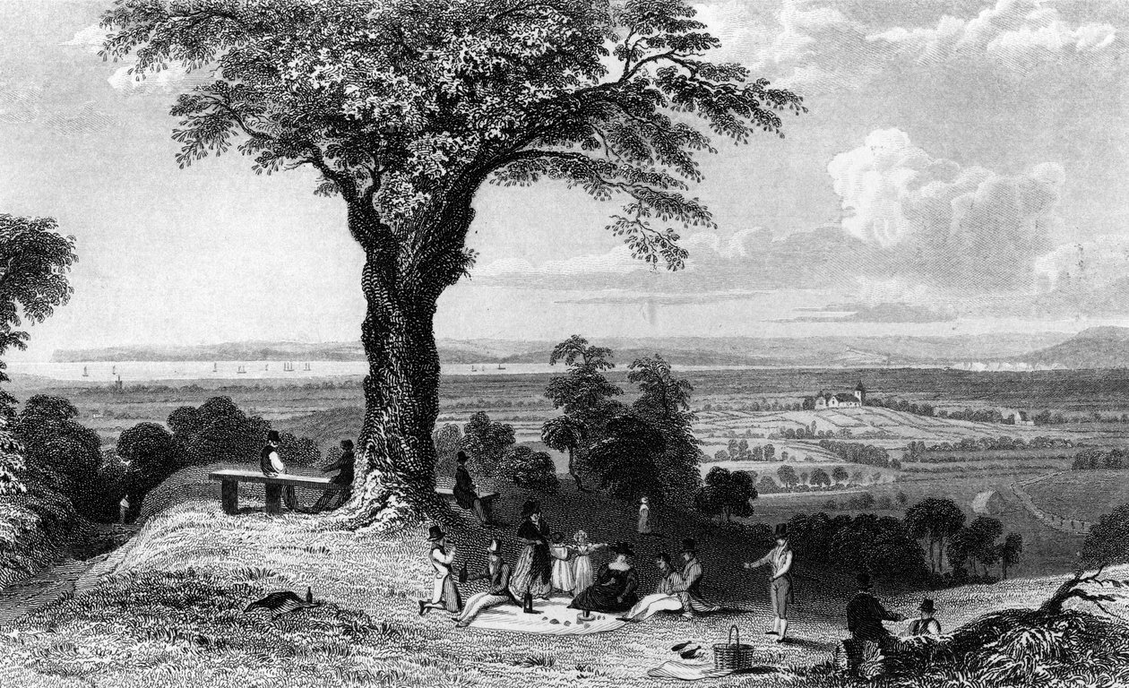 Scene from Laindon Hill, near Horndon, Essex by William Henry Bartlett