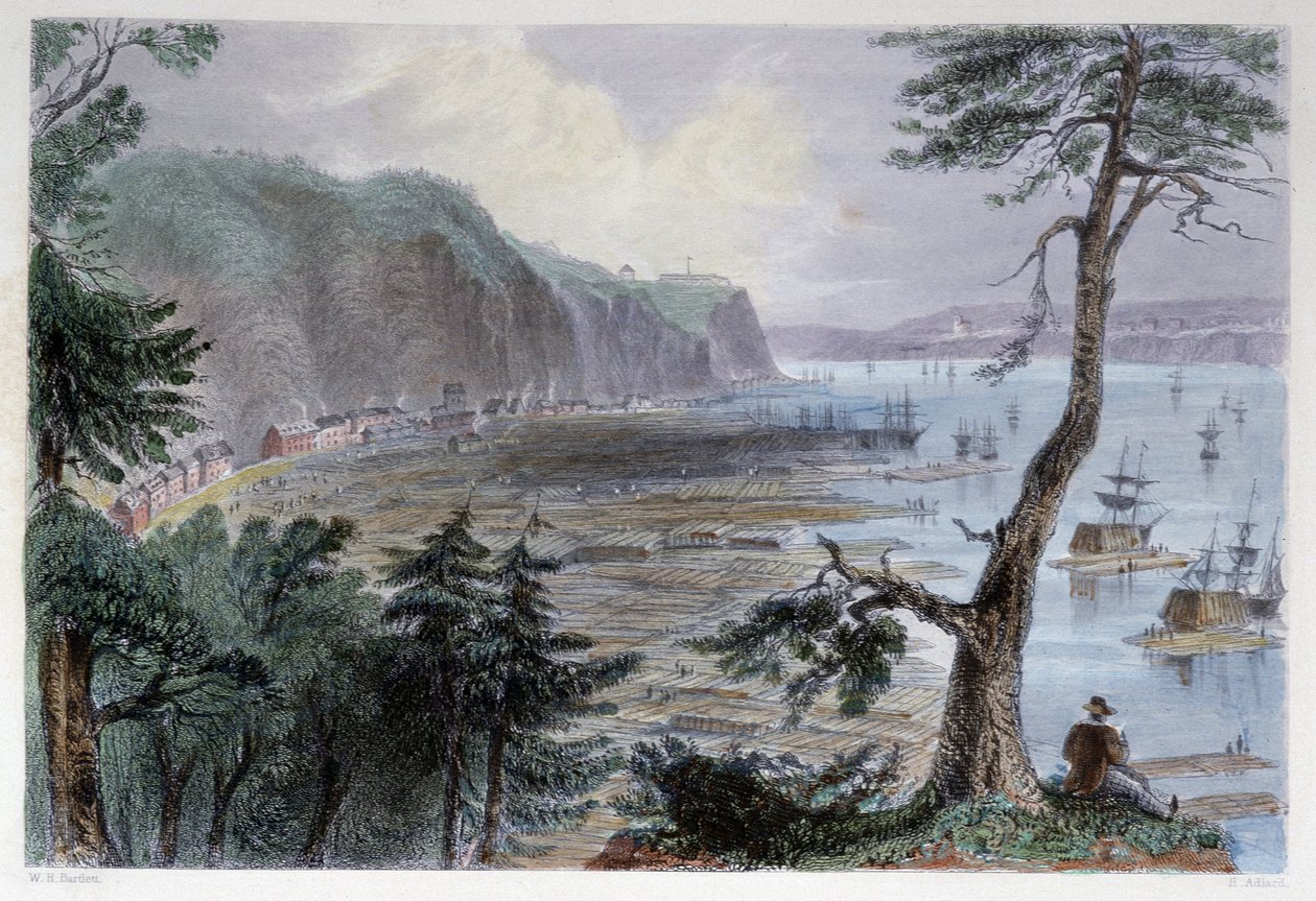 Timber Deposition near Quebec - in 