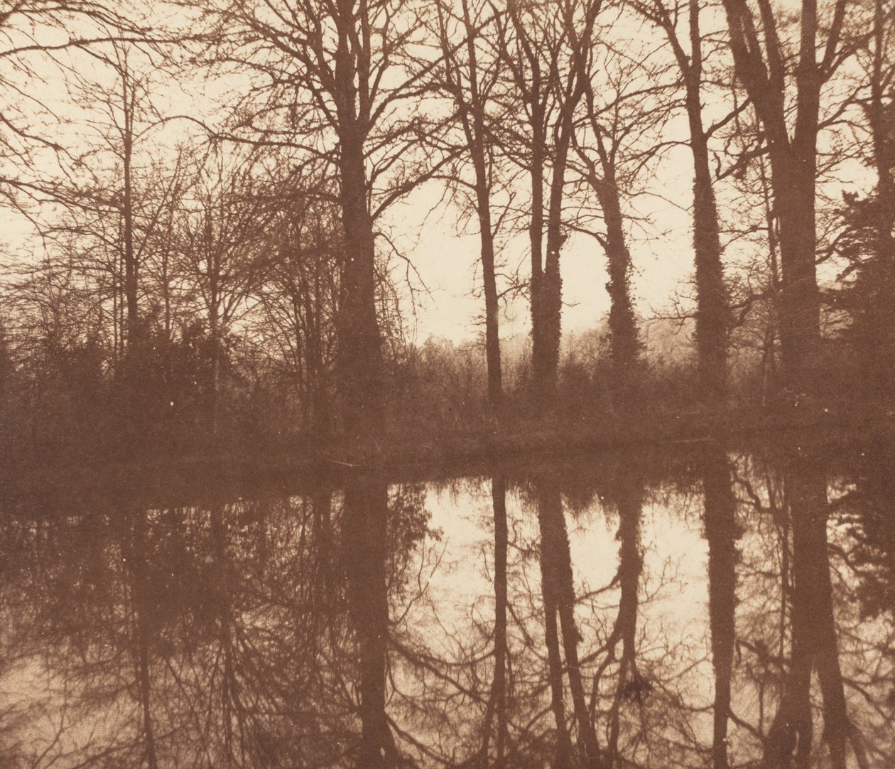 Winter Trees, Reflected in a Pond by William Henry Fox Talbot