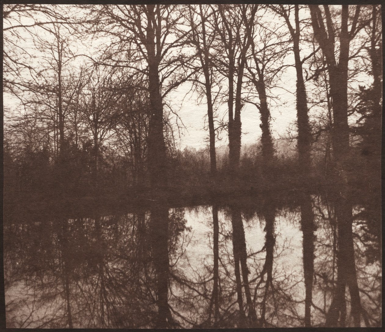 Winter Trees Reflected in a Pond, 1841-42 by William Henry Fox Talbot