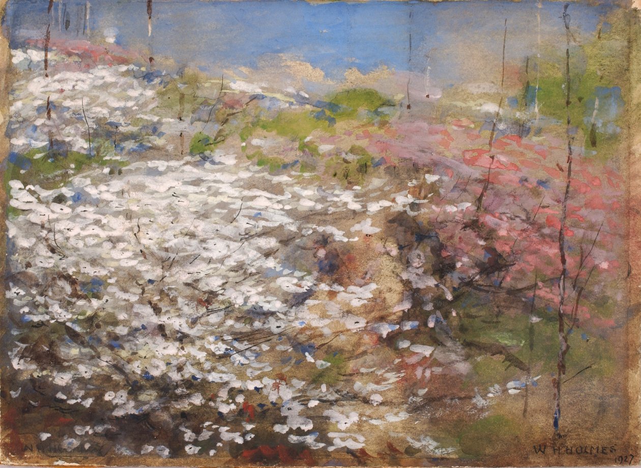 Field of Blossoms by William Henry Holmes