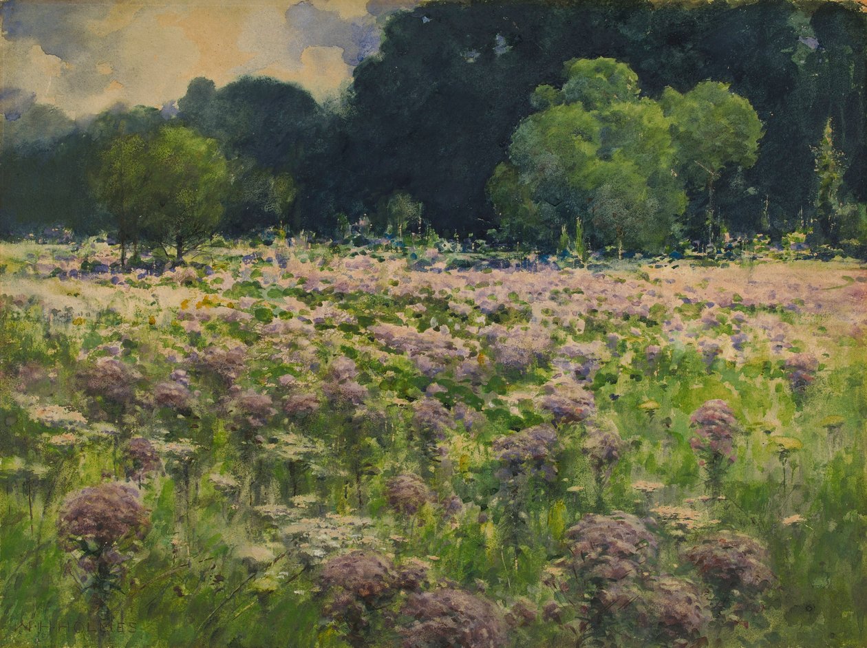 Field of Joe Pie Weeds (Pride of the Meadow) by William Henry Holmes