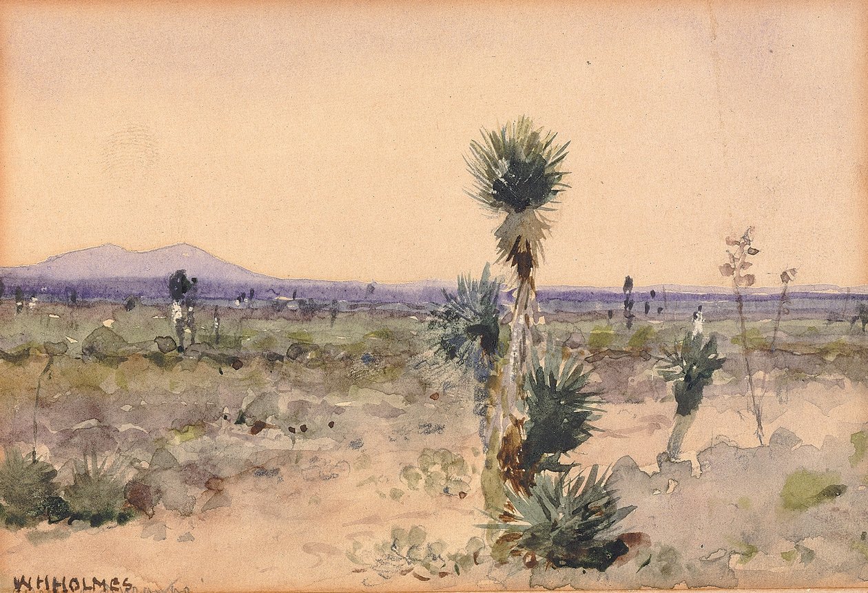 Yuccaland, Chihuahua, Mexico by William Henry Holmes
