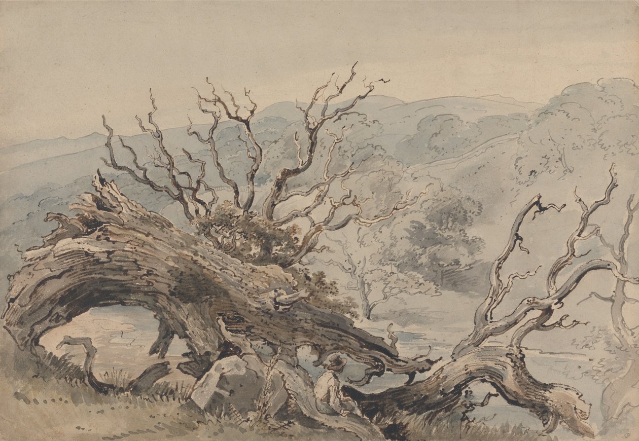 A Fallen Oak by William Henry Hunt
