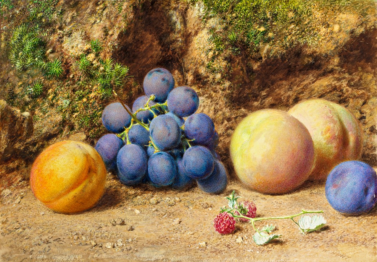 Black Grapes, Peaches, Apricots and Raspberries by William Henry Hunt