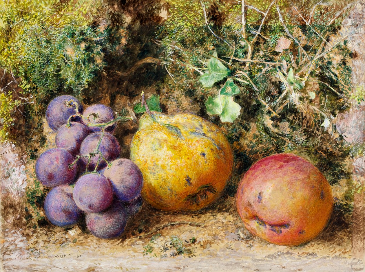 Black Grapes, Quince, and Newtown Pippin by William Henry Hunt