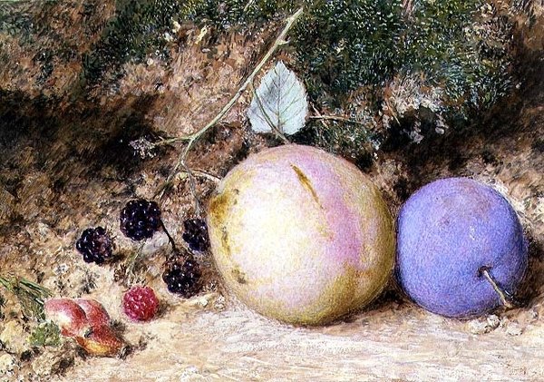 Rosehips, Blackberries and Plums by William Henry Hunt