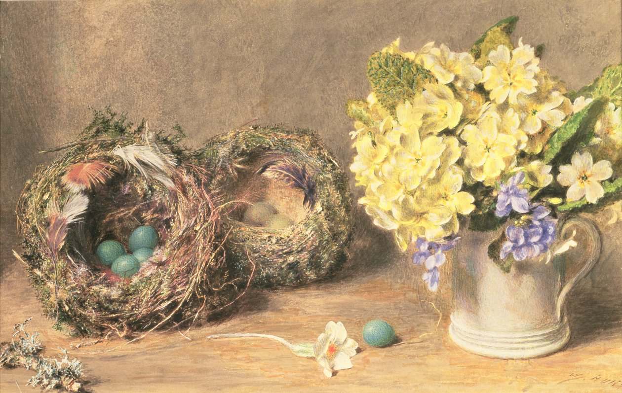 Spring Flowers and Birds