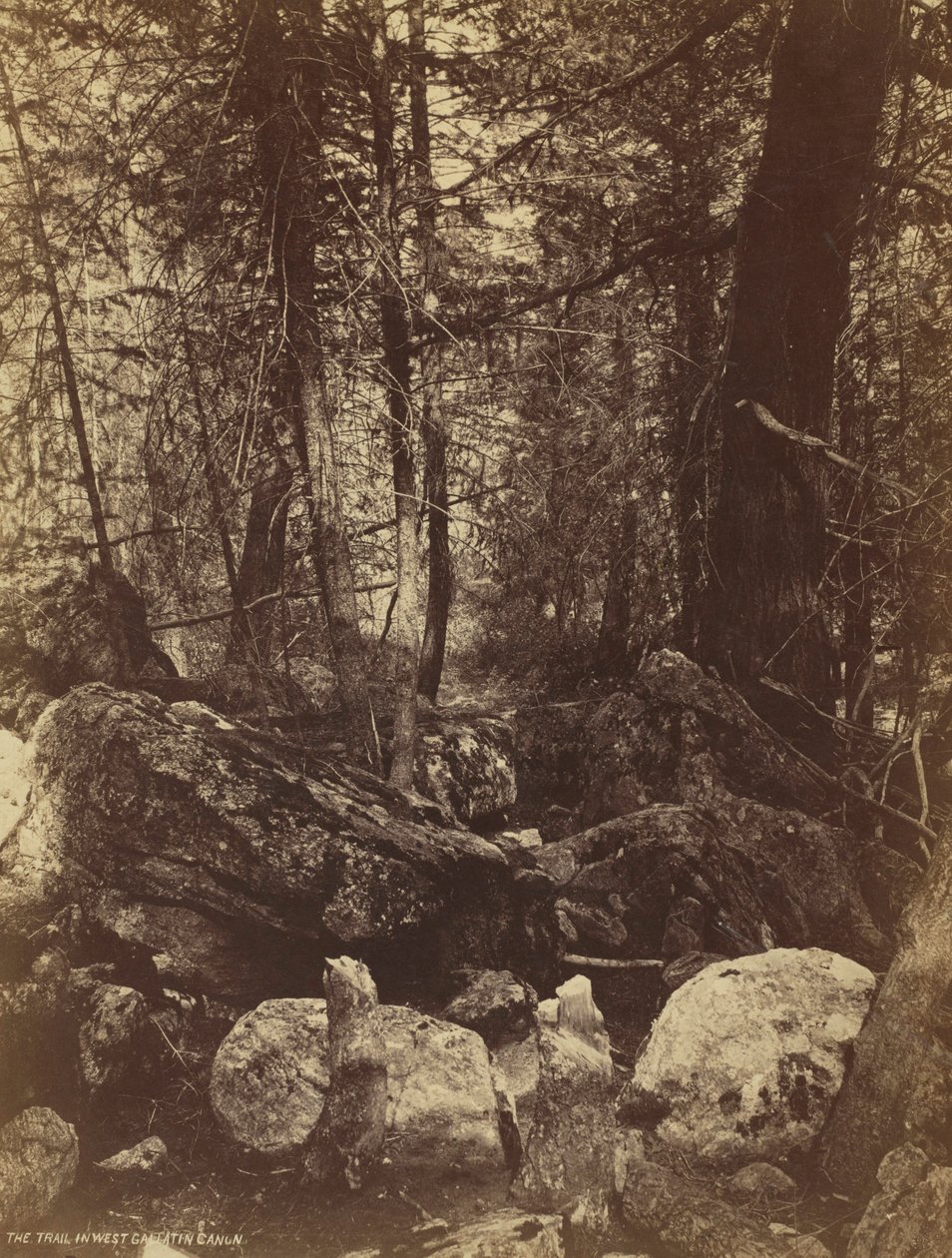 The Trail in West Gallatin Cañon by William Henry Jackson