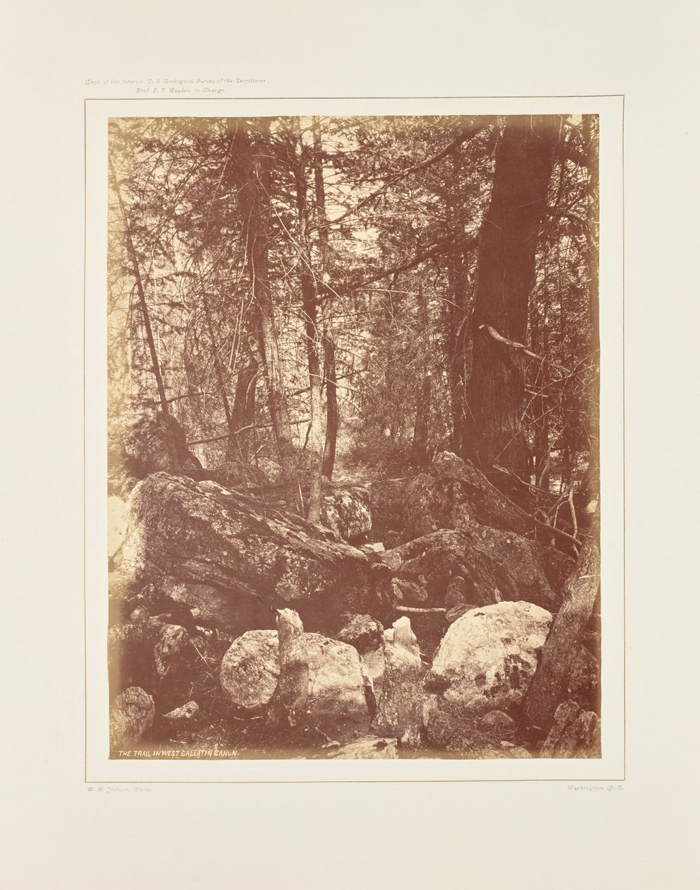 The Trail in the Woods, Gallatin Canyon by William Henry Jackson