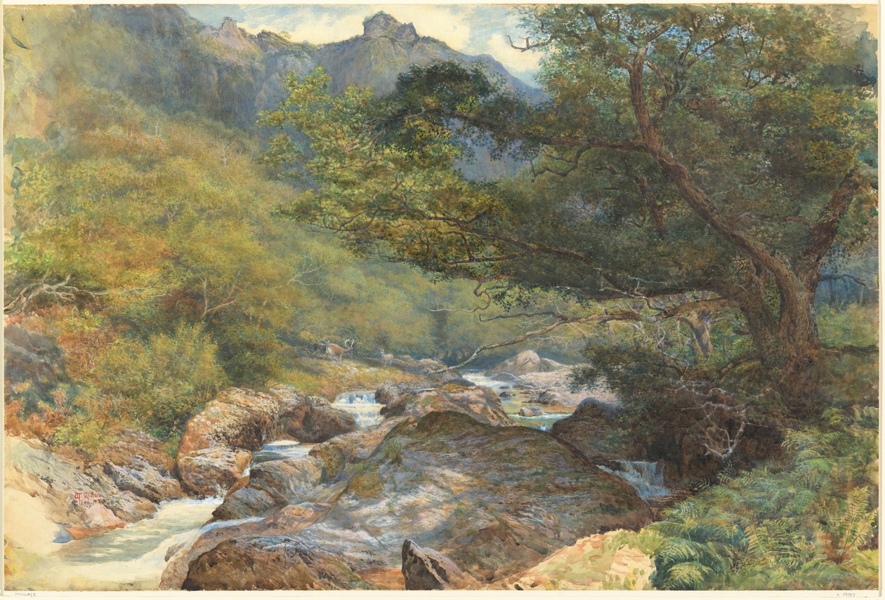 On the East Lyn, North Devon by William Henry Millais