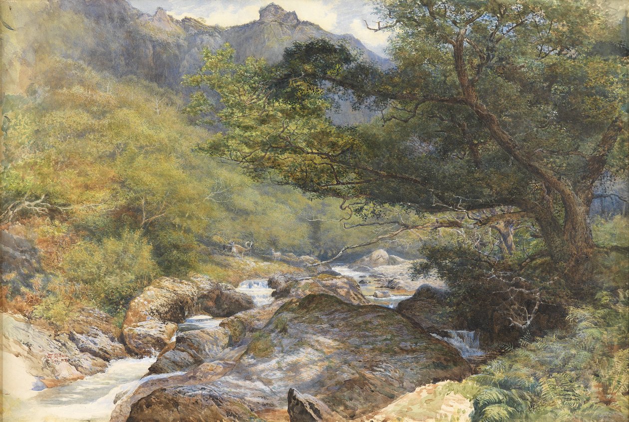 On the Lyn, North Devon by William Henry Millais