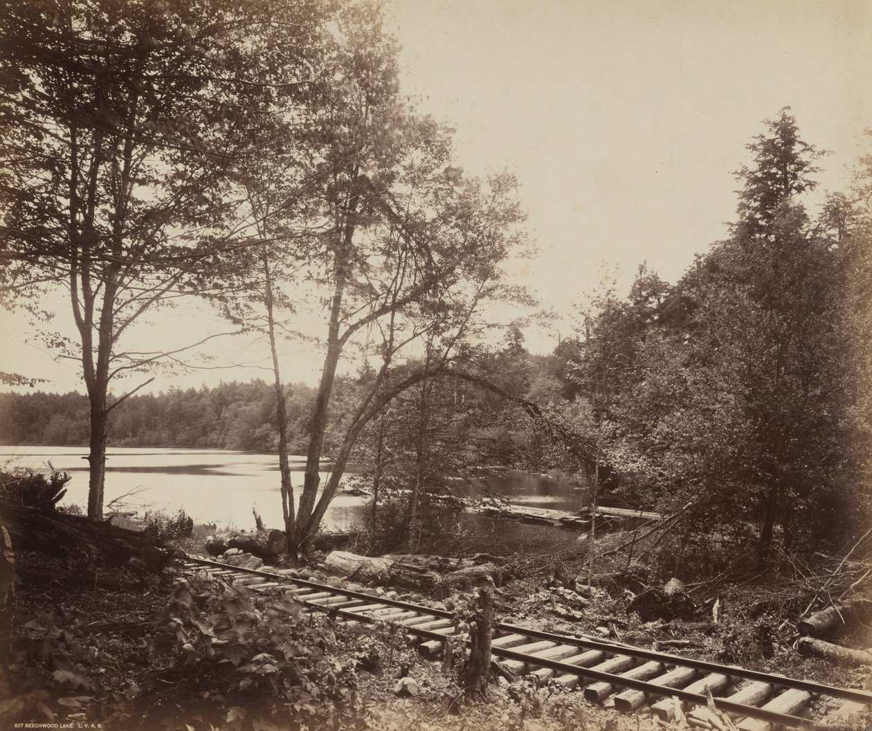 Beechwood Lake by William Herman Rau