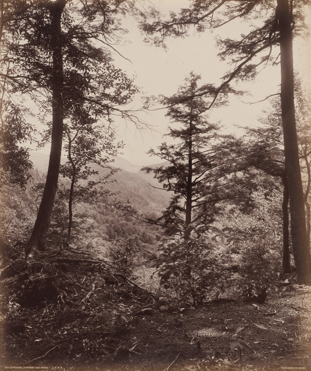 Cliff View, Through the Trees by William Herman Rau