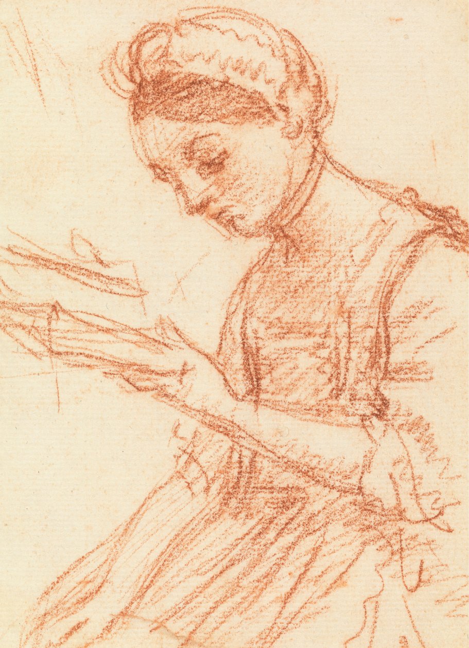 Young Lady with a Book by William Hoare