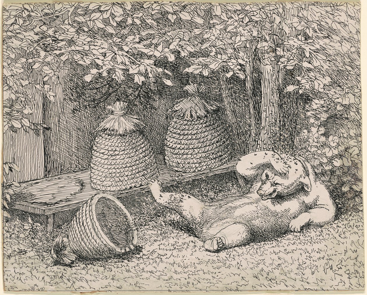 Bear Stung by Bees by William Holbrook Beard