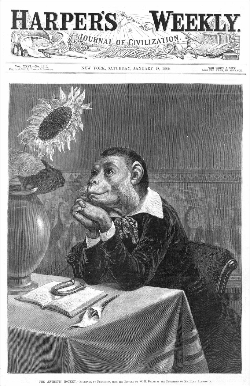 Cover of 