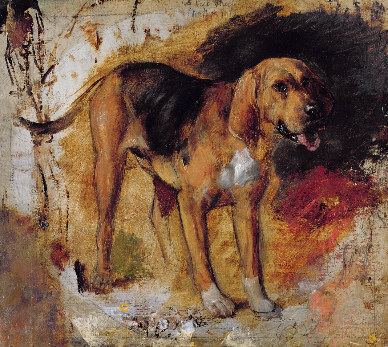 A Study of a Bloodhound by William Holman Hunt