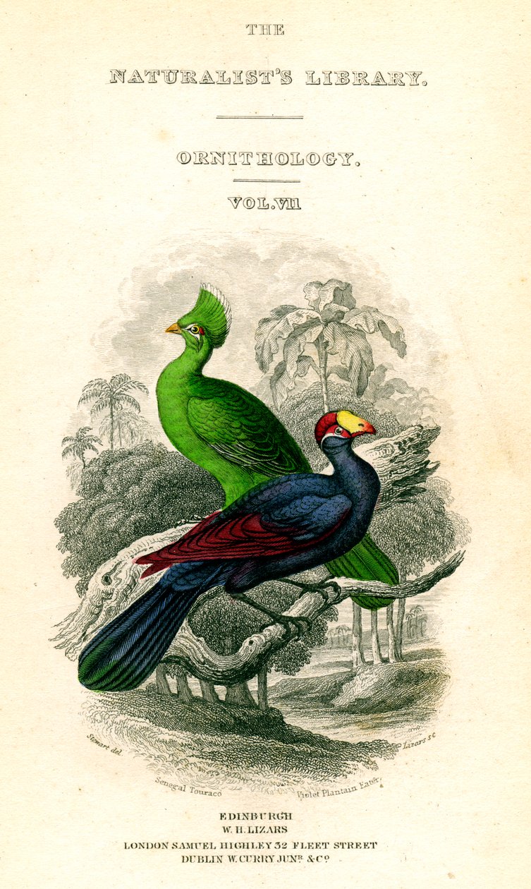 The Naturalist