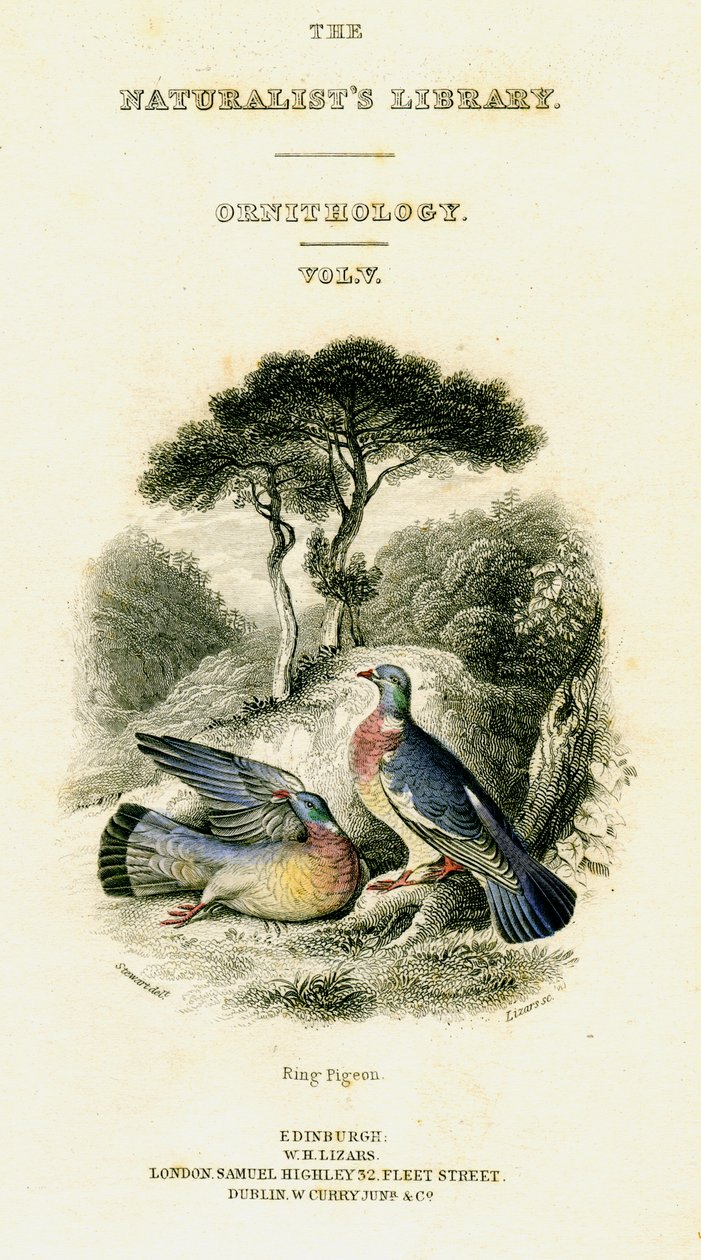 The Naturalist