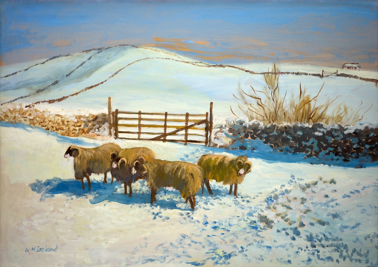 Snow in the Yorkshire Dales by William Ireland